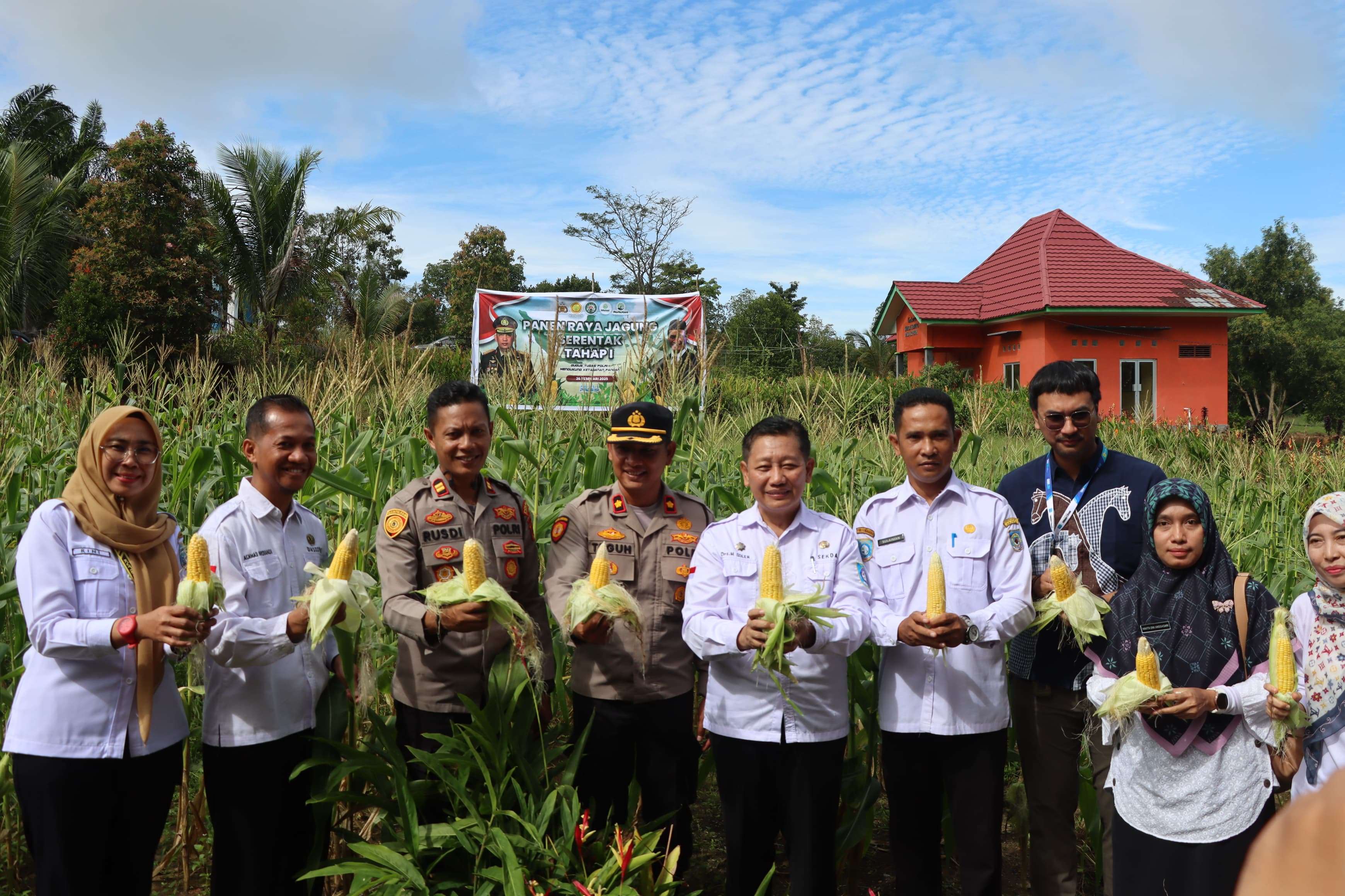 PANEN RAYA JAGUNG SERENTAK TAHAP I DALAM RANGKA SWASEMBADA PANGAN TAHUN 2025 DI DESA AIR PUTIH KEC. MENTOK
