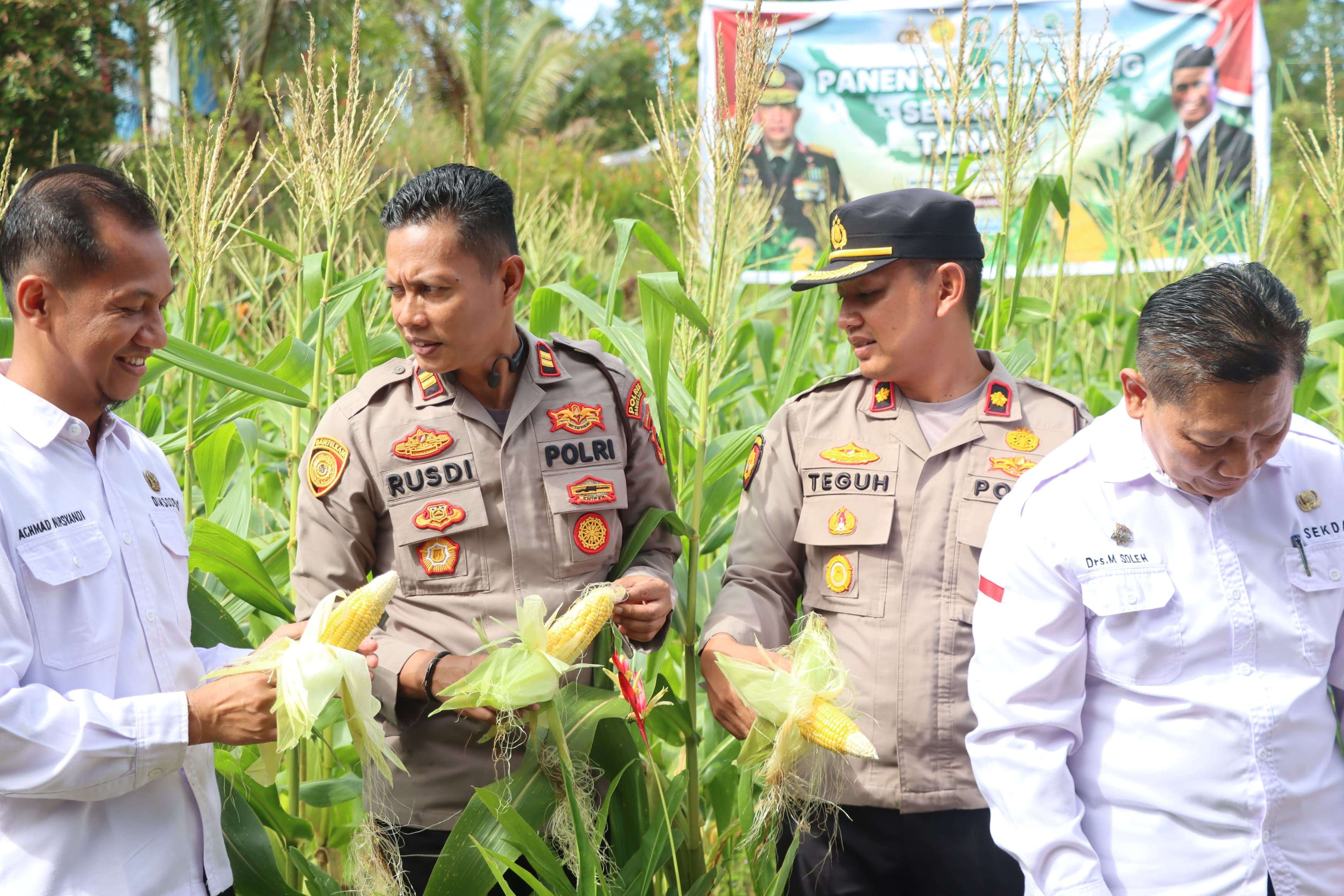 PANEN RAYA JAGUNG SERENTAK TAHAP I DALAM RANGKA SWASEMBADA PANGAN TAHUN 2025 DI DESA AIR PUTIH KEC. MENTOK
